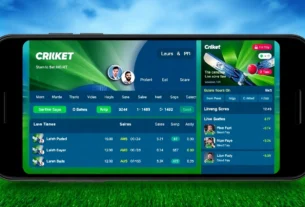 Online cricket betting platform Cricbet99 com featuring live scores and betting options for